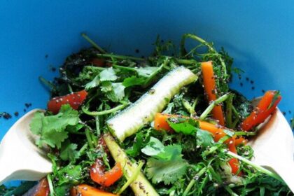 Gluten-Free_Dairy-Free_Chia_Seed_Salad_11zon